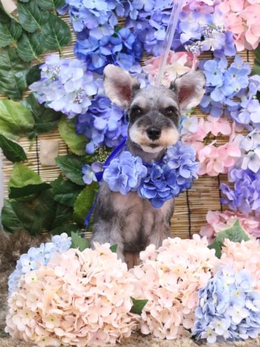 20250624むぎちゃん